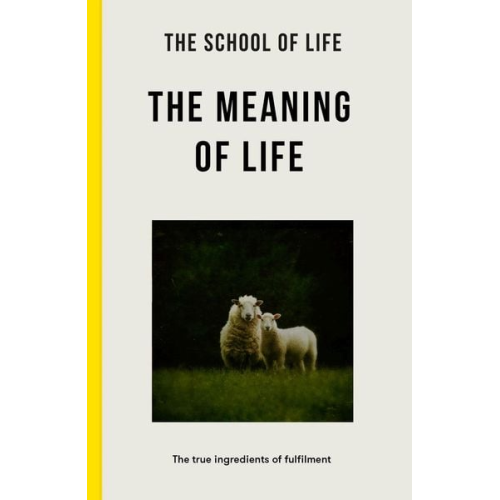 The School of Life - The Meaning of Life