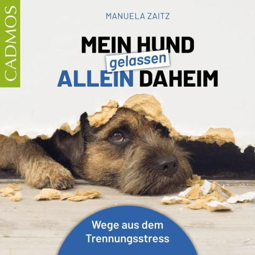 Manuela Zaitz - Mein Hund gelassen allein daheim