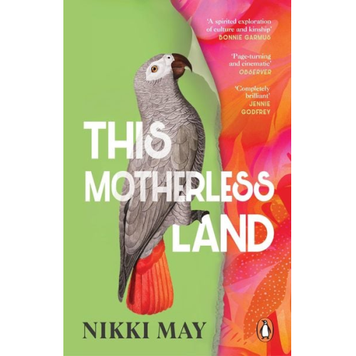 Nikki May - This Motherless Land