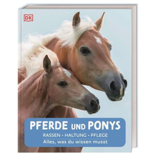 47300 - Pferde und Ponys