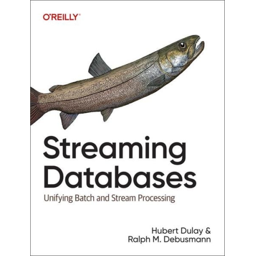 Hubert Dulay Ralph Debusmann - Streaming Databases