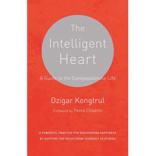 Dzigar Kongtrul Joseph Waxman - The Intelligent Heart