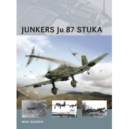 Mike Guardia - Junkers Ju 87 Stuka