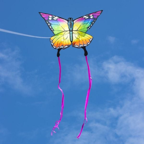 Ecoline 102223 - Ecoline: Butterfly Kite Rainbow 120 cm, Drachen/Kinderdrachen