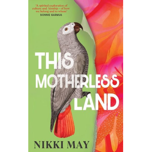 Nikki May - This Motherless Land