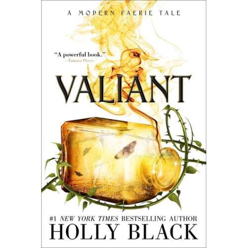 Holly Black - Valiant