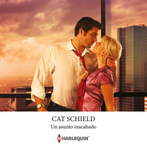 Cat Schield - Un asunto inacabado