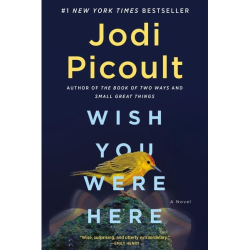 Jodi Picoult - Wish You Were Here