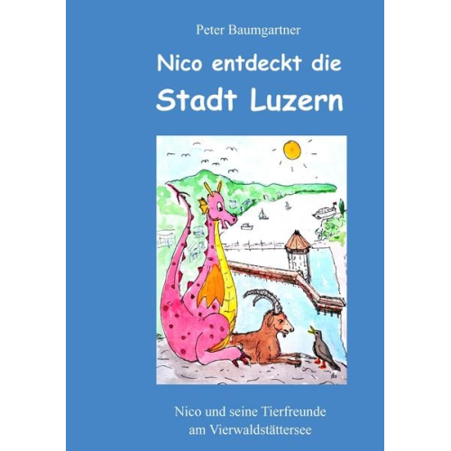 Peter Baumgartner - Nico entdeckt die Stadt Luzern