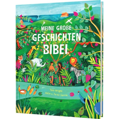 Tom Wright - Meine große Geschichten-Bibel