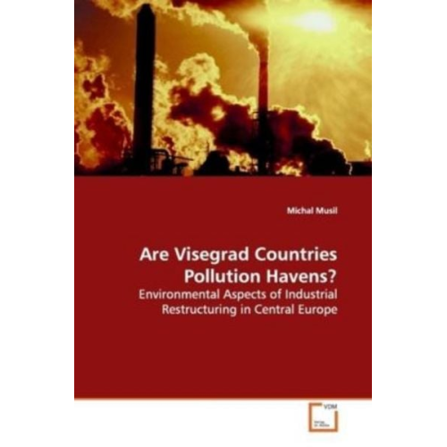 Michal Musil - Musil, M: Are Visegrad Countries Pollution Havens?