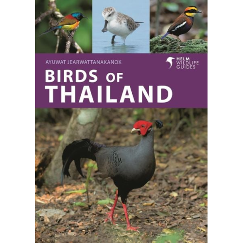 Ayuwat Jearwattanakanok - Birds of Thailand