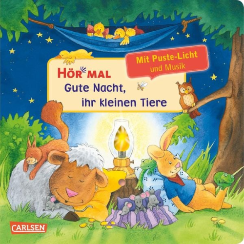 Kerstin M. Schuld - Hör mal (Soundbuch): Mach mit - Pust aus: Gute Nacht, ihr kleinen Tiere