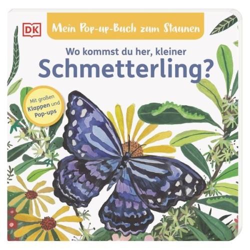 Sandra Grimm - Mein Pop-up-Buch zum Staunen. Wo kommst du her, kleiner Schmetterling?