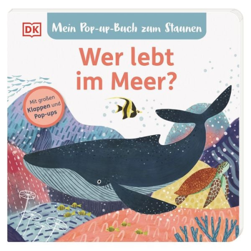 Sandra Grimm - Mein Pop-up-Buch zum Staunen. Wer lebt im Meer?