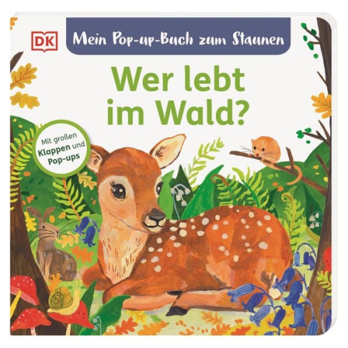 Sandra Grimm - Mein Pop-up-Buch zum Staunen. Wer lebt im Wald?