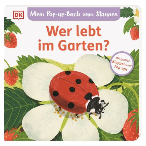 Sandra Grimm - Mein Pop-up-Buch zum Staunen. Wer lebt im Garten?