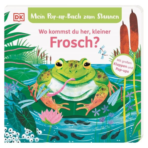 Sandra Grimm - Mein Pop-up-Buch zum Staunen. Wo kommst du her, kleiner Frosch?