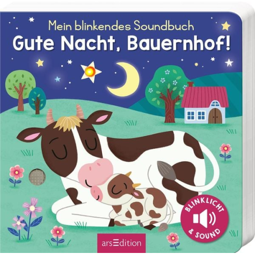 Maria Höck - Mein blinkendes Soundbuch – Gute Nacht, Bauernhof!