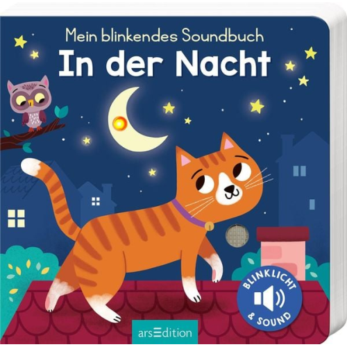 10635 - Mein blinkendes Soundbuch – In der Nacht