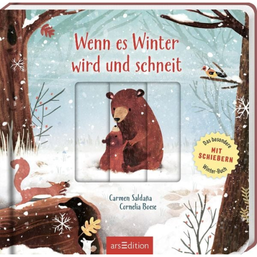 Cornelia Boese - Wenn es Winter wird und schneit