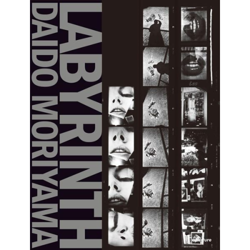 Daido Moriyama - Labyrinth: Daido Moriyama