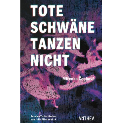 Miřenka Čechová - Tote Schwäne tanzen nicht