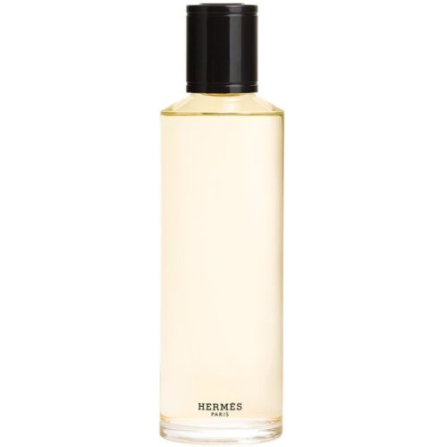 HERM&Egrave;S Terre d'Herm&egrave;s Eau de Parfum (EdP) Intense Refill 200 ml