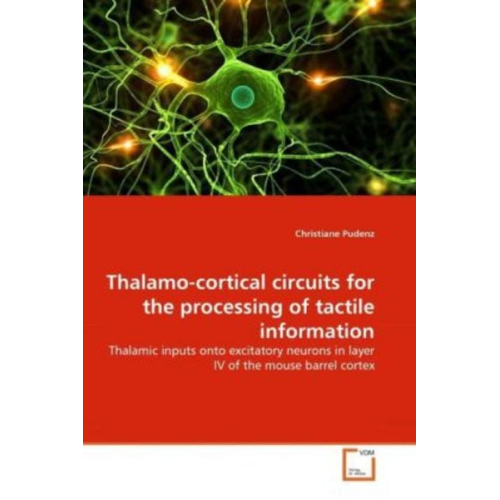 Christiane Pudenz - Pudenz, C: Thalamo-cortical circuits for the processing of t