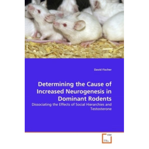 David Fischer - Fischer, D: Determining the Cause of Increased Neurogenesis