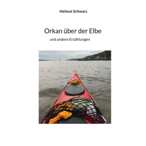 Helmut Schwarz - Orkan über der Elbe