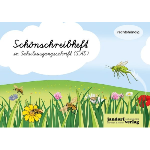 Anja Wachendorf - Schönschreibheft in SAS- rechtshändig - Schulausgangsschrift