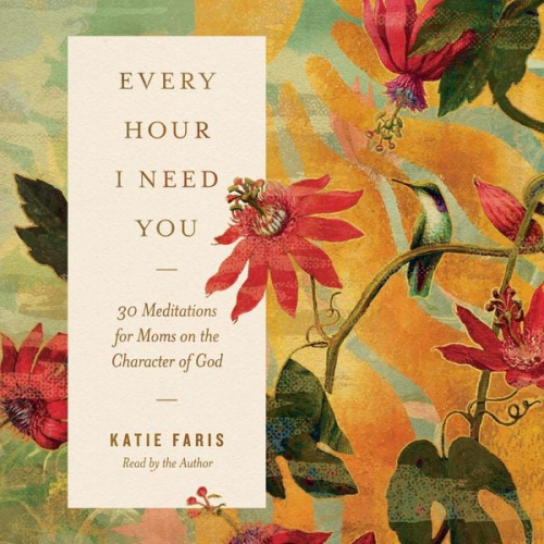 Katie Faris - Every Hour I Need You
