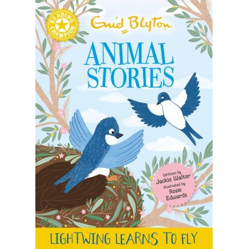 Jackie Walter - Reading Champion: Enid Blyton stories: Lightwing learns to Fly