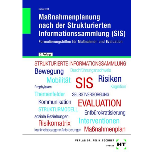 Christine Schwerdt - Maßnahmenplanung nach der Strukturierten Informationssammlung (SIS)