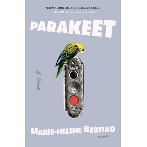 Marie-Helene Bertino - Parakeet