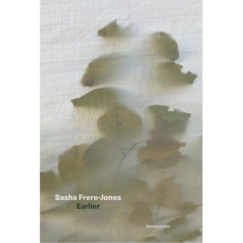 Sasha Frere-Jones - Earlier