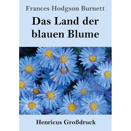 Frances Hodgson Burnett - Das Land der blauen Blume (Großdruck)