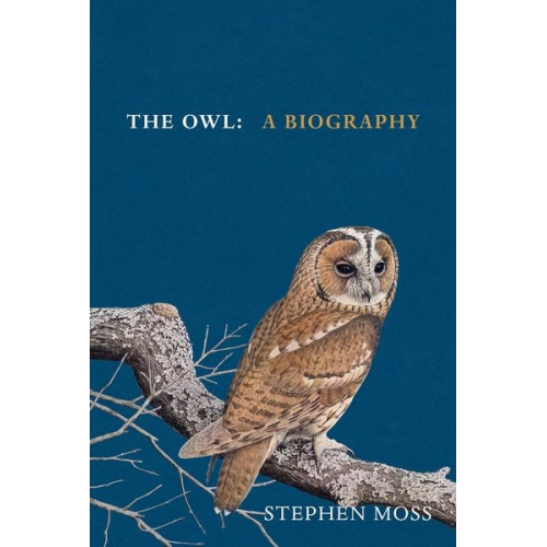 Stephen Moss - Moss, S: The Owl