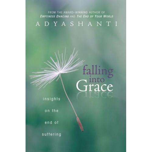 Adyashanti - Falling Into Grace