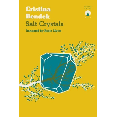 Cristina Bendek - Salt Crystals