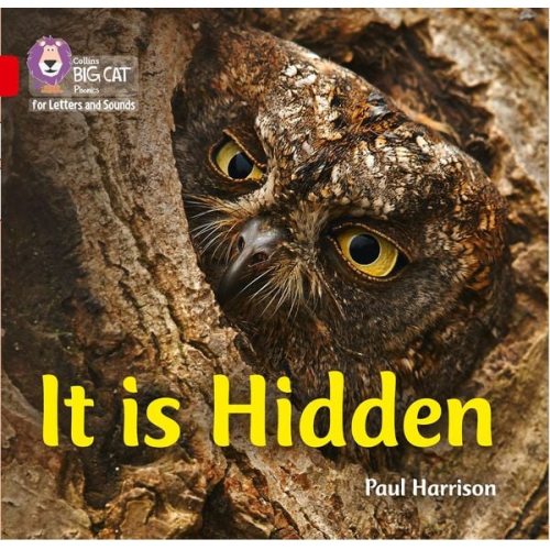 Paul Harrison - It Is Hidden