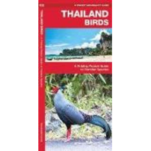 James Kavanagh Waterford Press - Thailand Birds