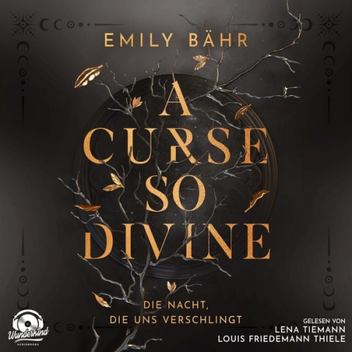 Emily Bähr - Die Nacht, die uns verschlingt