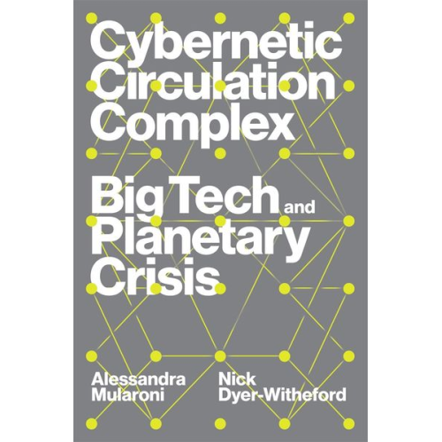 Nick Dyer-Witheford Alessandra Mularoni - Cybernetic Circulation Complex