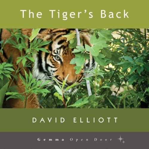 David Elliott - The Tiger's Back