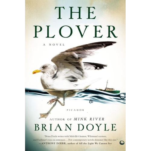 Brian Doyle - The Plover