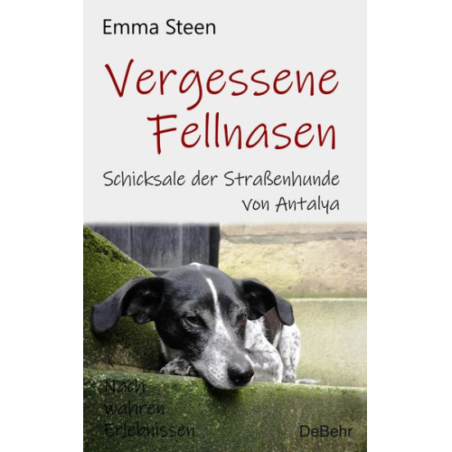 Emma Steen - Vergessene Fellnasen - Schicksale der Straßenhunde von Antalya - Nach wahren Erlebnissen