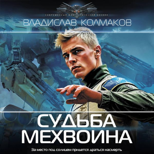 Vladislav Kolmakov - Sud'ba mehvoina