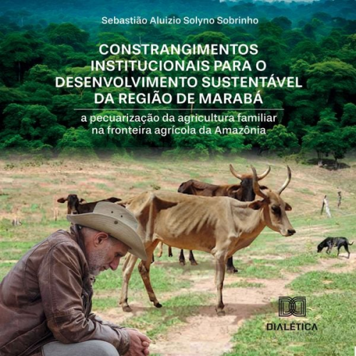 Sebastião Aluizio Solyno Sobrinho - Constrangimentos institucionais para o desenvolvimento sustentável da região de Marabá